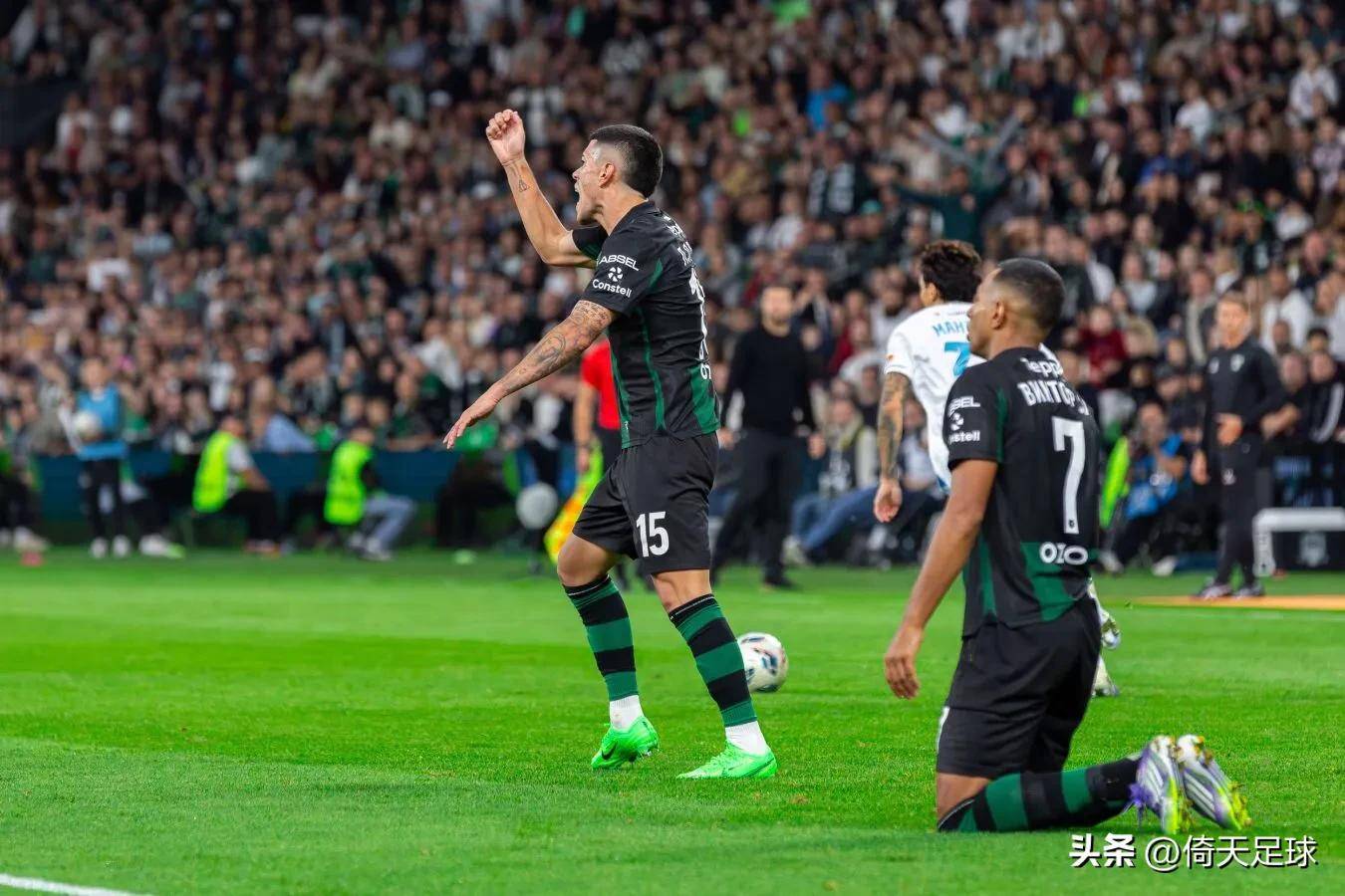 详细阅读:好博体育-南潇谢承宇小说背景设定 好博体育-南潇谢承宇小说背景设定